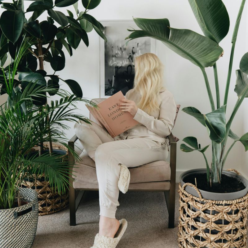 Link to Praesent egestas neque