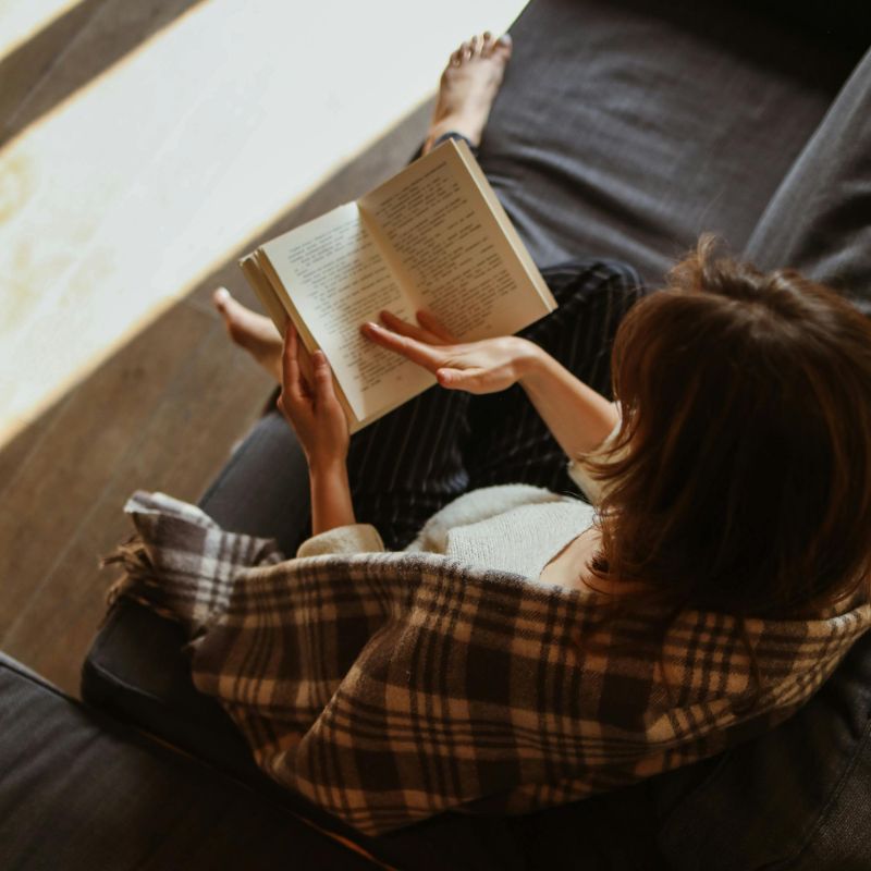 Link to Porta Mattis Fusce Praesent Congue